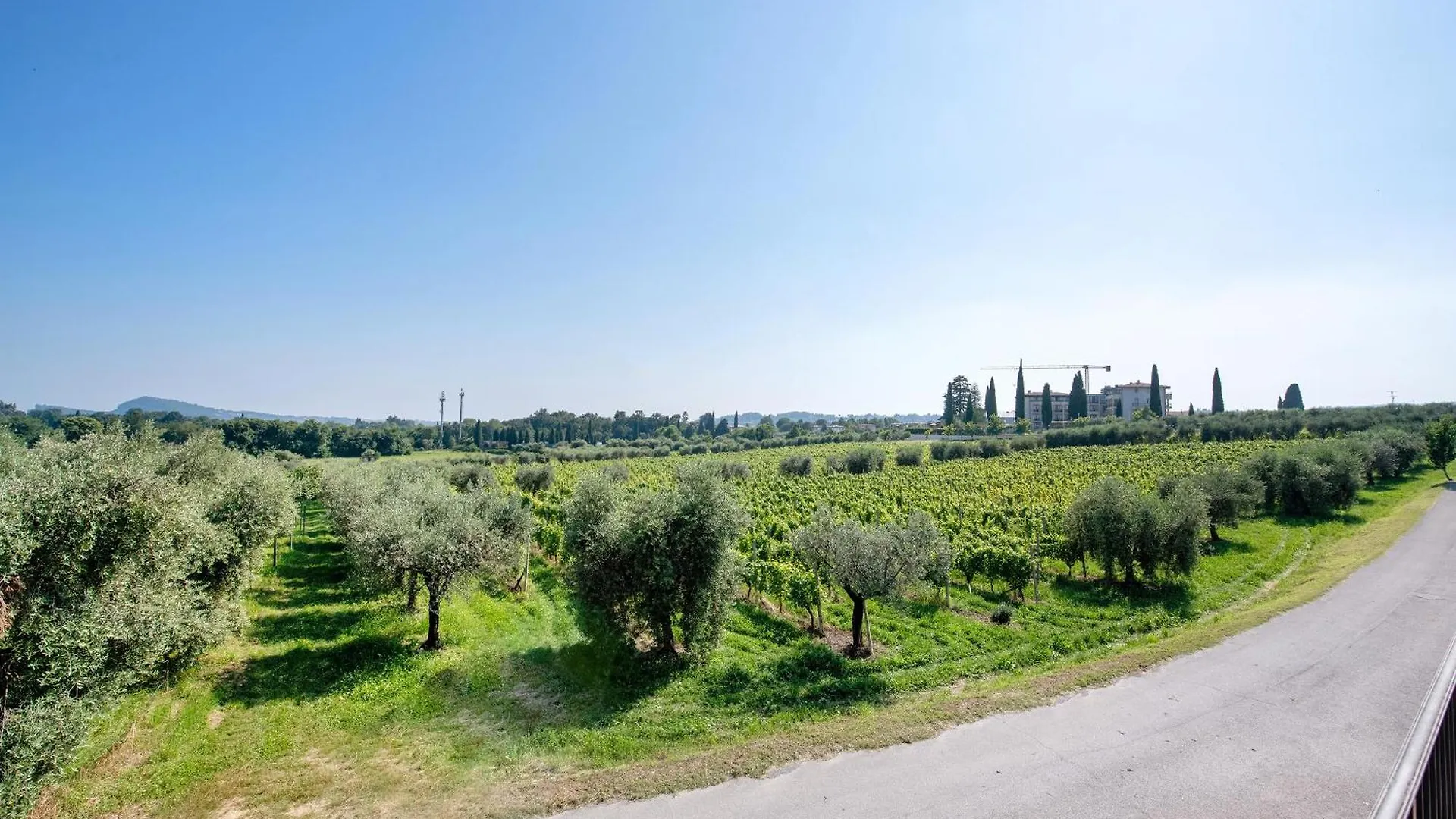 Appartamento Lago E Vigne San Felice del Benaco Apartamento